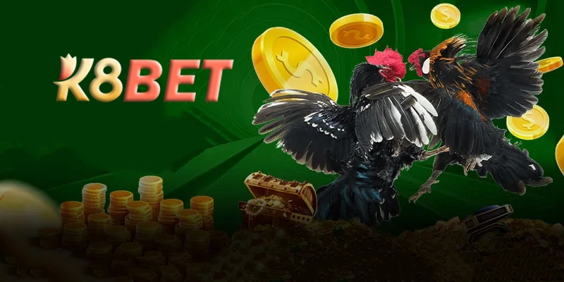 Những lưu ý khi tham gia đá gà K8bet